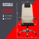 Кресло офисное BRABIX PREMIUM "Ultimate EX-800" хром, плотная двойная сетка Х2, черное/бежевое, 532913 — арт. SAMSON-532913