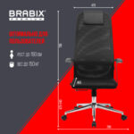 Кресло BRABIX PREMIUM "Ultimate EX-801" хром, плотная двойная сетка Х2, черное, 532917 — арт. SAMSON-532917