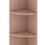 Дуб молочный 15