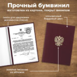 Ракурс 9